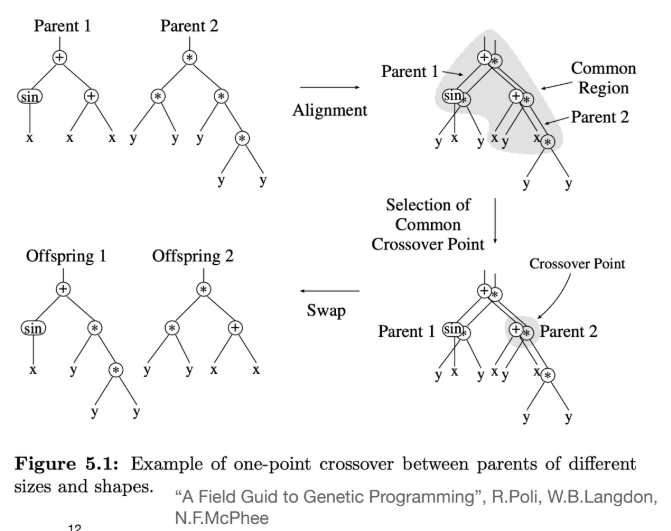 p.12: Example of one-point crossover in GP (swapping subtrees)